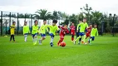 BG真人 资讯 144748 1px