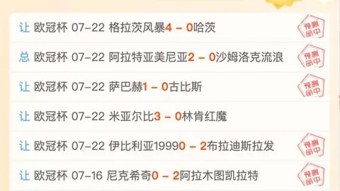美洲狮深度：实战比分解析，掌握比赛节奏